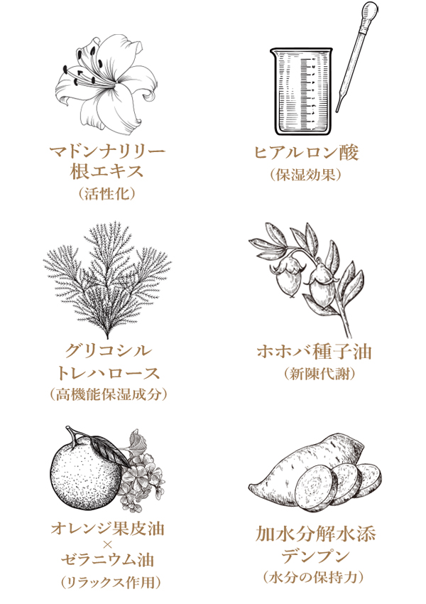 スマートフォン用の画像